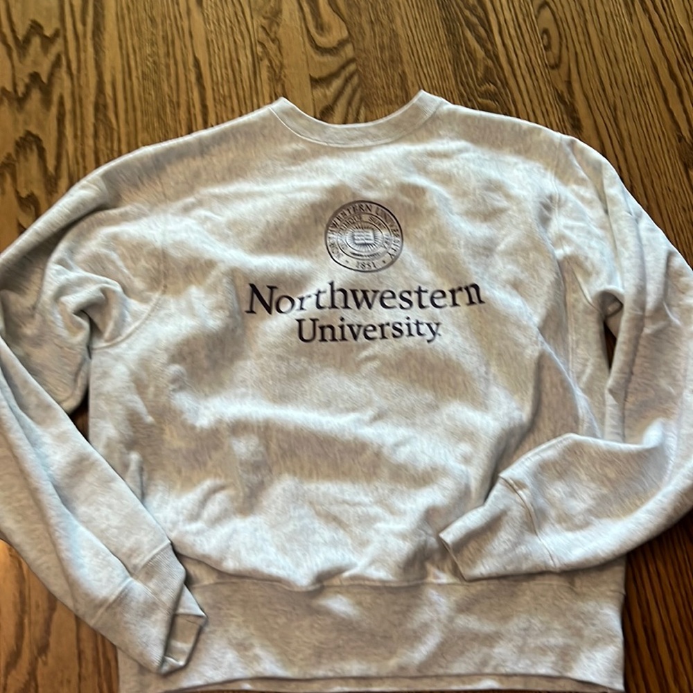 Vintage Champion Northwestern University Gray M